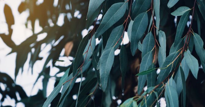 EverLife Social Adventure Camp